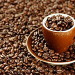 aceh gayo