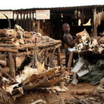 3. Voodoo Fetish Market – Togo