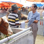 6. Pasar Bisu Koto Baru, Sumatera Barat (3)