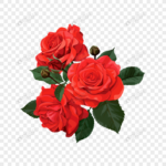 8784.png_860