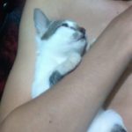 IMG-20180618-WA0109
