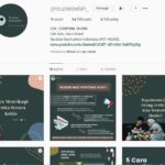 ss ig