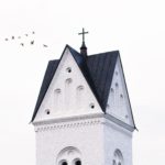 Sekawanan Burung di Atap Gereja